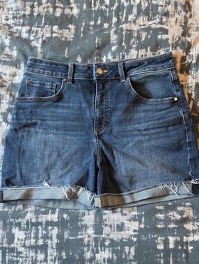 Denver Hayes Shorts